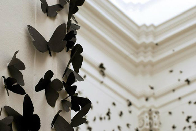 farfalle nere_02