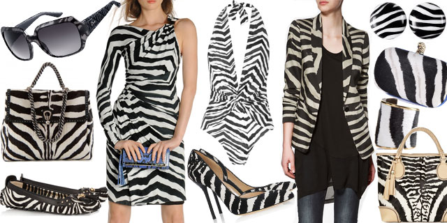zebra