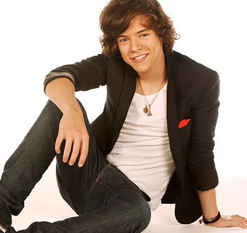 harry styles Harry Styles è l'unico single degli OneDirection