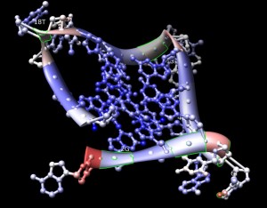 dna_quadruplo