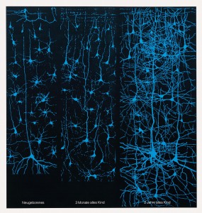 rete_neurale