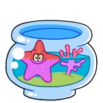 acquario2