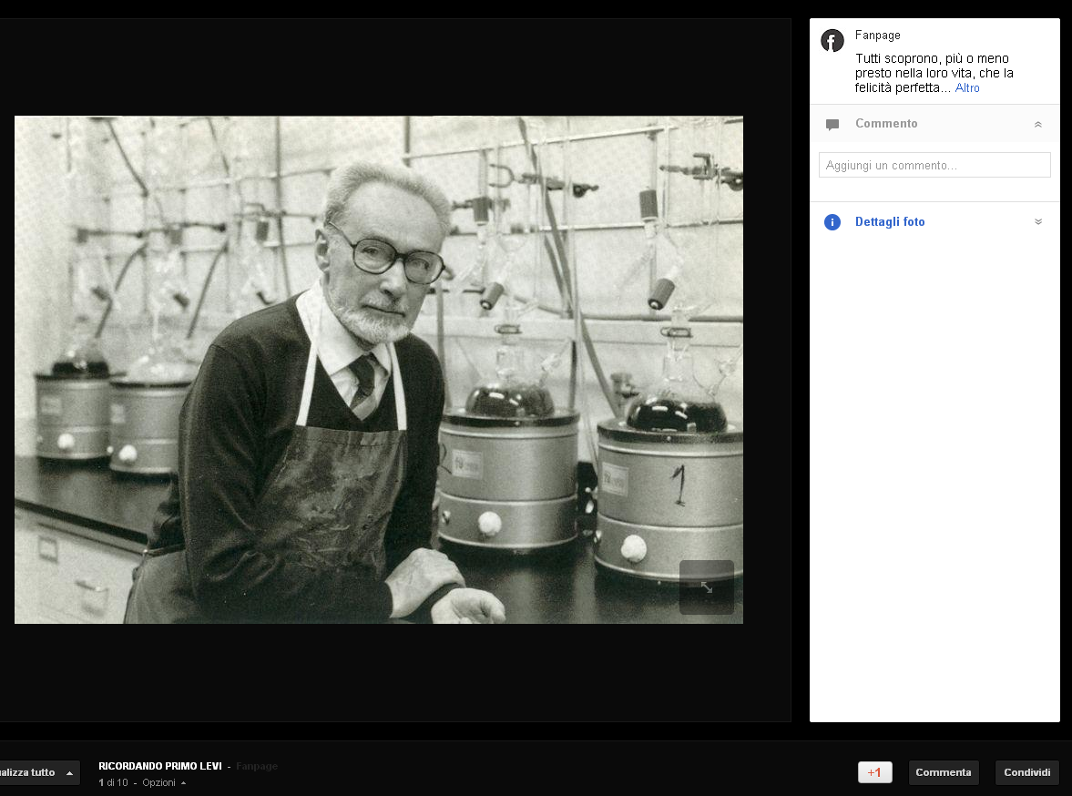 fotogalley