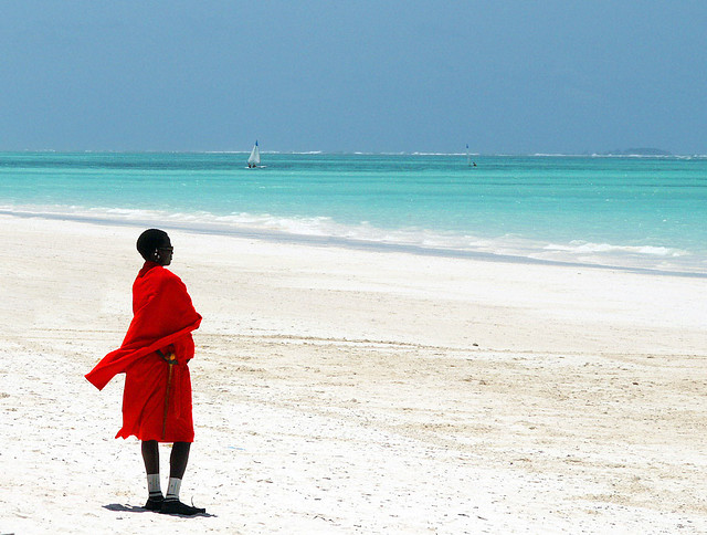 Isola di Zanzibar Tanzania -Africa
