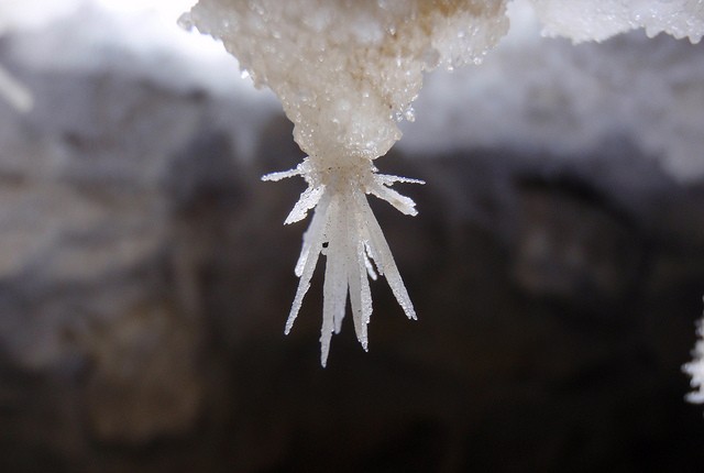 grotte antro del corchia