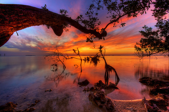 hotel sottomarini key largo