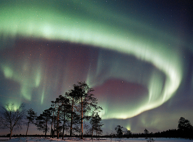 rovaniemi aurora