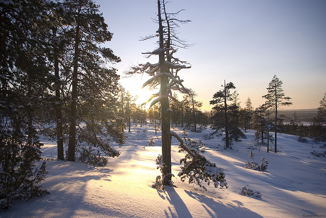 rovaniemi lapponia