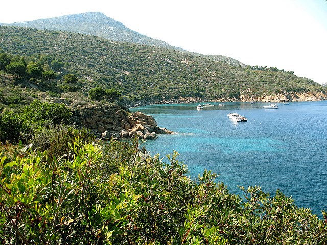 Isola del Giglio, le spiagge