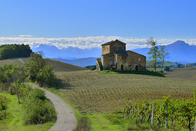 Marche