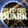 superquark condotto da piero angela